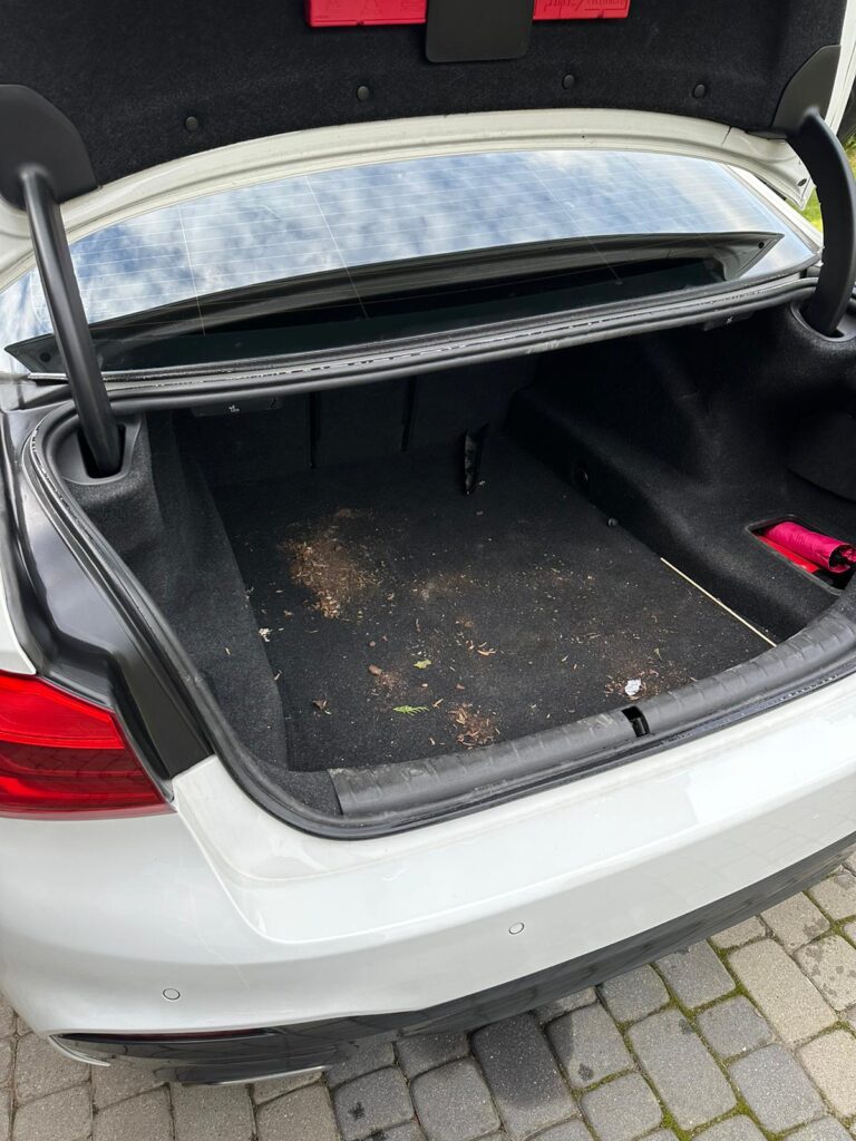 BMW pranie tapicerki